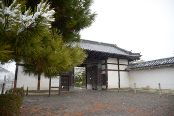 Wall Mural - 雪の二条城　桃山門　京都市中京区