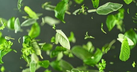 Poster - Super Slow Motion of Flying Fresh Herb Leaves. Filmed on High Speed Cinema Camera, 1000 fps. Camera Placed on High Speed Cine Bot, Rotating. 