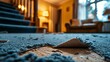 © Sam - A close-up view of a frayed carpet in a dimly lit living room, showcasing the wear and tear of home life.