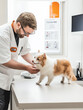 © Hype2Art - Papillon dog at the veterinarian clinic for a checkup, ensuring health and care by a professional.