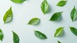 © Ishika - Fresh Green Tea Leaves on a Pale Background