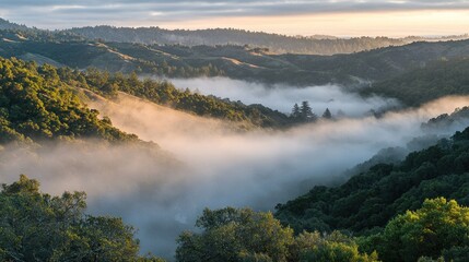 Wall Mural - Sunrise fog rolling through lush green hills and valleys.