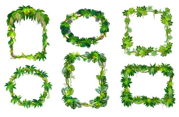 Wall Mural - tropical jungle frames of forest liana branches and leaves or ivy vines, vector borders. cartoon tro