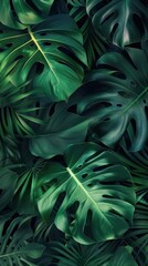 Sticker - Tropical leaves monstera vegetation rainforest outdoors.