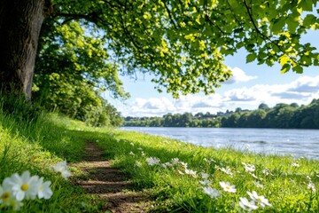 Poster - Tranquil Riverside Path Through Lush Green Meadow with White Daisies Under Sunny Skies and Tree Canopy