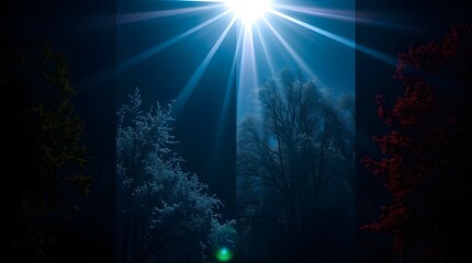 Wall Mural - A radiant light source illuminates a group of trees in a serene night setting, casting long beams through the dark sky. The surrounding foliage is vaguely visible, adding a mysterious ambiance 