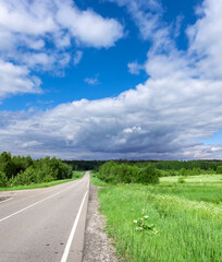 Wall Mural - Road with a grassy field on the side