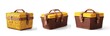 © Safdar - Three views of the picnic basket product design, featuring a plastic material with a leather texture and a yellow color scheme on a white background