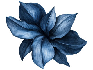 elegant blue flower botanical illustration: a deep dive into nature's hues
