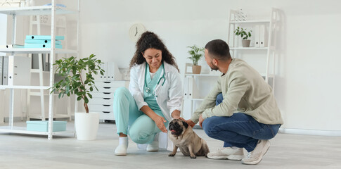 Wall Mural - Female African-American veterinarian with owner and pug dog in clinic