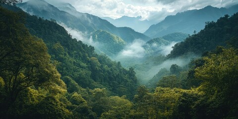Wall Mural - Misty green valley landscape with lush forested hills under cloudy sky creating a serene atmosphere of nature and tranquility.