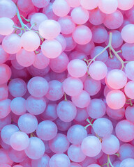 Aufkleber - Futuristic collage of bright purple grape forms layered with geometric neon lines, moody backdrop,