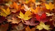© Gball - Pile of fallen autumn leaves, earthy tones, close-up , nature, photography