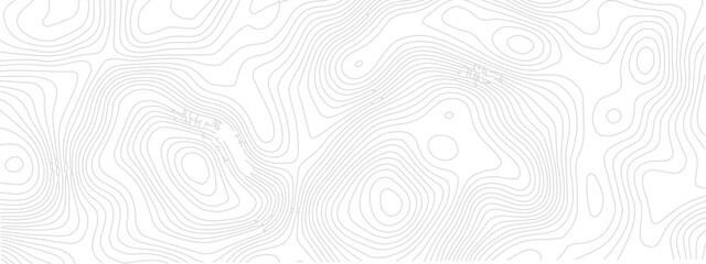 Wall Mural - Topographic Design Pattern with Seamless Lines Representing Area Spaces and Grid Layouts on a Modern Geometric Map
