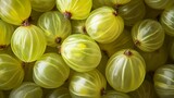 光沢のある黄色いグーズベリーの背景クローズアップ | Close-up Background of Shiny Yellow Gooseberries