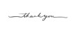 © elif - Thank You card. Hand drawn positive quote. Modern brush calligraphy. Isolated on white background