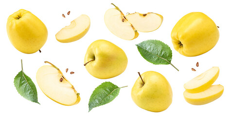 Wall Mural - yellow apples with green leaf and slices isolated on a white background. clipping path