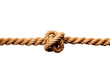 © Roy64 - Tied rope knot isolated on transparent background
