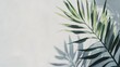 © felix_brönnimann - Palm leaf shadow on light concrete wall background, showcasing natural texture and minimalism. Ideal for eco-friendly, interior design, and wellness themes.