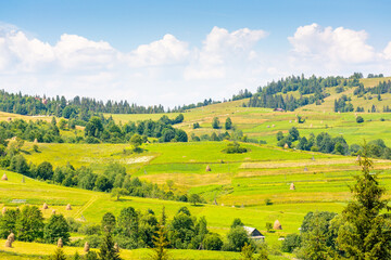 Wall Mural - mountainous rural landscape on a sunny day. picturesque highland. countryside scenery with lush tree