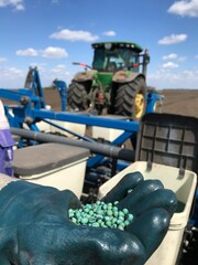 spring. sowing agriculture. when spring comes into its own in the fields, farmers continue to plant 
