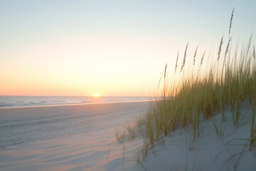 Wall Mural - sunrise over a beach with dune grass