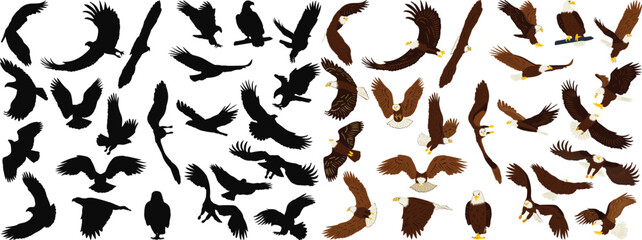 Wall Mural - silhouette eagles collection on white background, vector