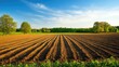 © pinporn manosri - A wide-open field freshly tilled and ready for planting, clear horizon line under soft evening light, perfect for copy space.