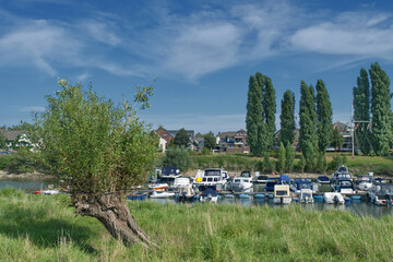 Wall Mural - Marina in Leverkusen-Hitdorf at Rhine River,North Rhine Westphalia,Germany