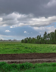 Wall Mural - field with a cloudy sky and trees in the background
