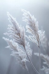 Poster - A detailed view of a plant covered in frost, ideal for winter or cold weather themed designs