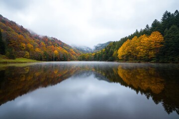 Wall Mural - foggy autumn lake reflection landscape
