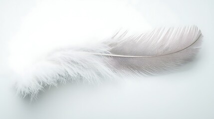 Wall Mural - Delicate white feather with soft downy texture against a light background, evoking tranquility