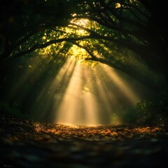 Wall Mural - Sunlight Streaming Through Trees