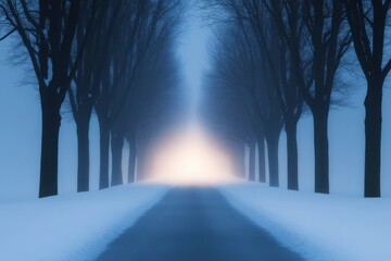 Wall Mural - road with trees in a winter landscape