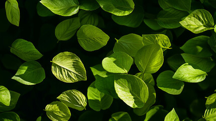 Fototapete - Lime green leaves falling in nature for seasonal background design