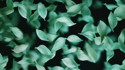 Fototapete - Tranquil mint green leaves falling on dark background
