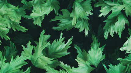 Fototapete - Vibrant green fern leaves floating against dark backdrop for nature inspired design
