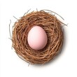 © justjupiter - A delicate pink egg nestled in a rustic straw nest, symbolizing new beginnings and nature's beauty.