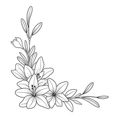 Hand drawn simple lily flower outline