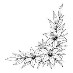 Hand drawn simple lily flower outline