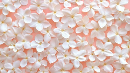 Canvas Print - Elegant white flower petals on soft pink background