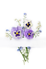 Wall Mural - flowers viola tricolor ( pansy ) and blue wildflowers forget-me-nots and white paper card with space
