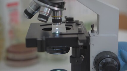 Wall Mural - a specialist in microbiology adjusts a microscope in a biological laboratory to study a substance