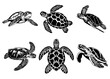 © Jackson Cadillac - Set of vector illustration of monochrome sea turtles on white background
