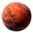 © ivatekstudio - mars planet isolated on white background