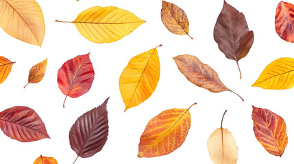 Leinwandbilder - Falling autumn leaves drifting against transparent backdrop, showcasing seasonal palette of red, orange, yellow foliage