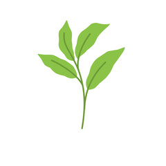 Simple Green Leaf Illustration