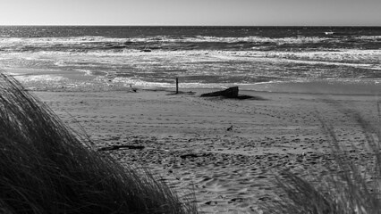 Wall Mural - Shipwreck on a beach in black and white