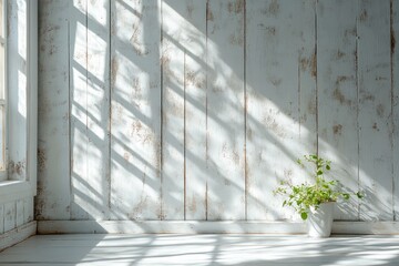 Aufkleber - Textured White Wooden Background with Natural Light and Shadows for Rustic Decor